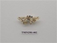 藏品(尺蛾90)的圖片